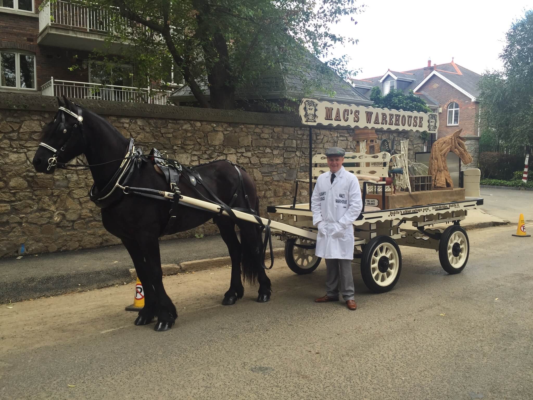 A Mulreany driver standing with a Friesian horse and a dressed cart in Dublin