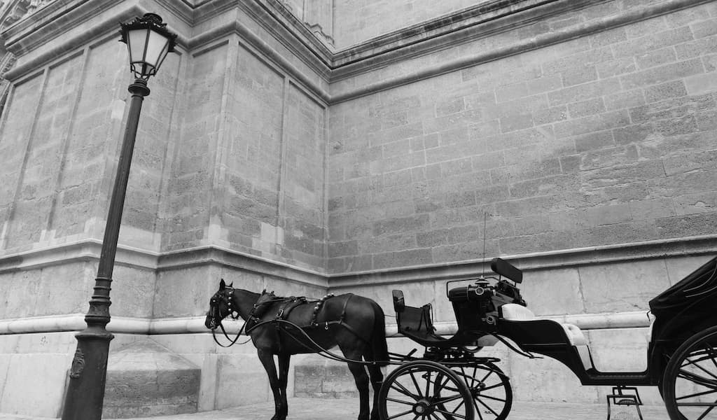 A Mulreanny horse and carriage waiting beside a Dublin cathedral
